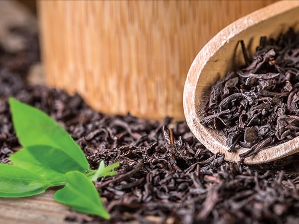 single-img-seventeen